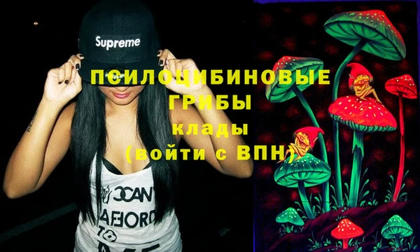 синтетический гашиш Дмитров