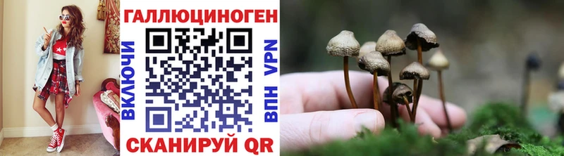 Купить закладки  Магнитогорск  Галлюциногенные грибы MAGIC MUSHROOMS 